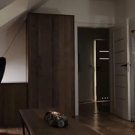 Klimatyczne Mieszkanie W Rynku Apartmán