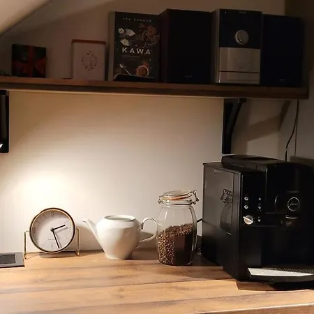 Klimatyczne Mieszkanie W Rynku * Vratislav